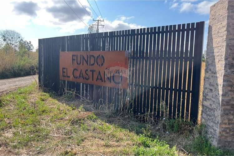 Vende parcela 5.000 m2 , fundo el castaño, lt 1b - Imagen 15