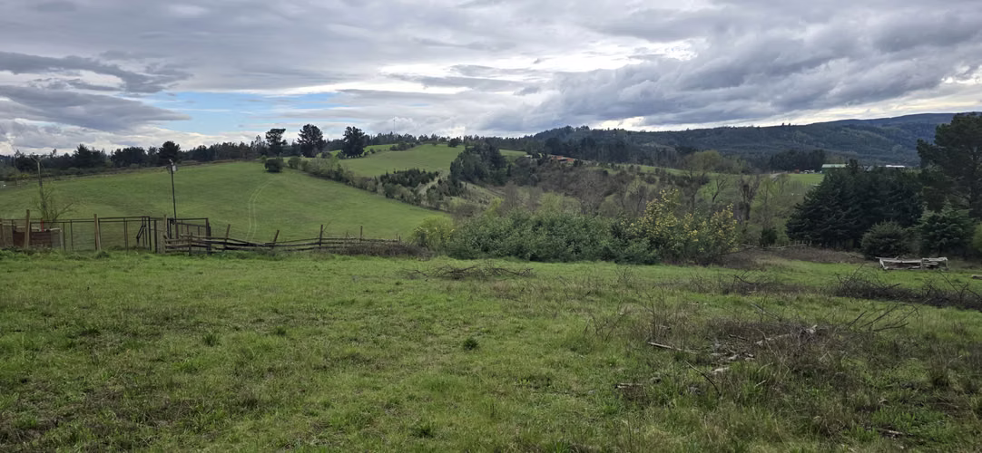 Parcela cerca de la ciudad de 5000m2