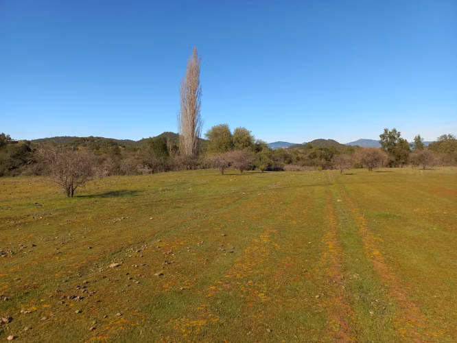 Vendo 2 Parcelas Contiguas de 5.000 m² c/u – Parcelado Pircas de Santa Cruz, Sector Alto Callihue