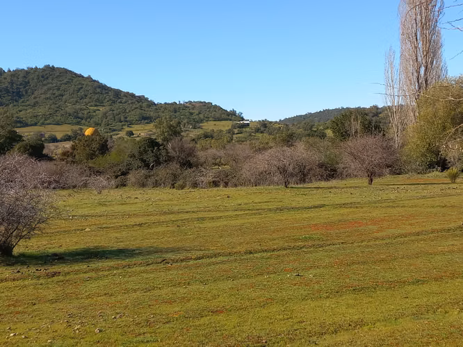 Vendo 2 Parcelas Contiguas de 5.000 m² c/u – Parcelado Pircas de Santa Cruz, Sector Alto Callihue
