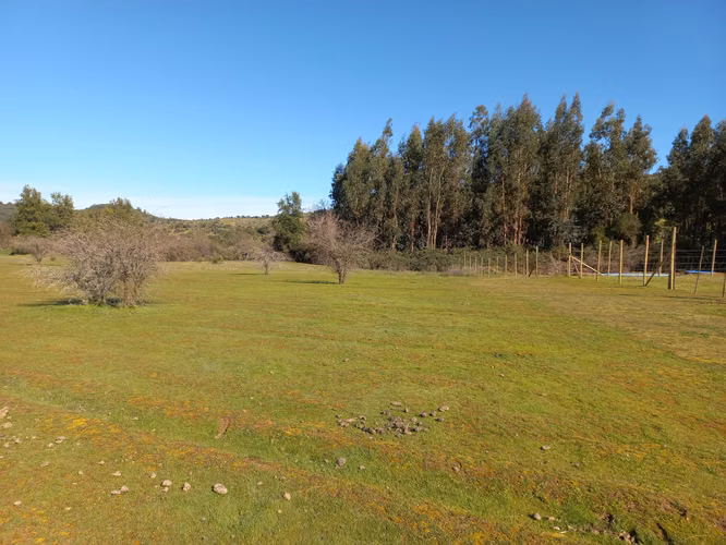 Vendo 2 Parcelas Contiguas de 5.000 m² c/u – Parcelado Pircas de Santa Cruz, Sector Alto Callihue