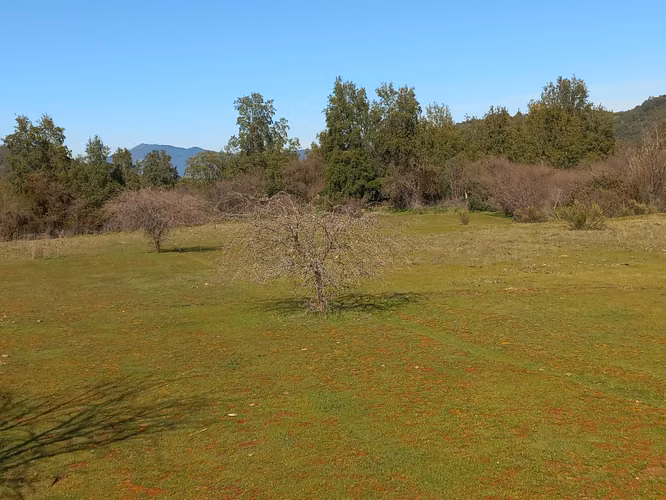 Vendo 2 Parcelas Contiguas de 5.000 m² c/u – Parcelado Pircas de Santa Cruz, Sector Alto Callihue