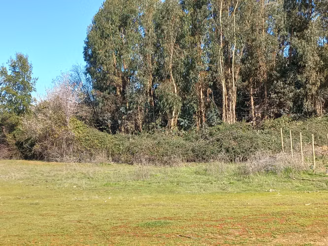 Vendo 2 Parcelas Contiguas de 5.000 m² c/u – Parcelado Pircas de Santa Cruz, Sector Alto Callihue