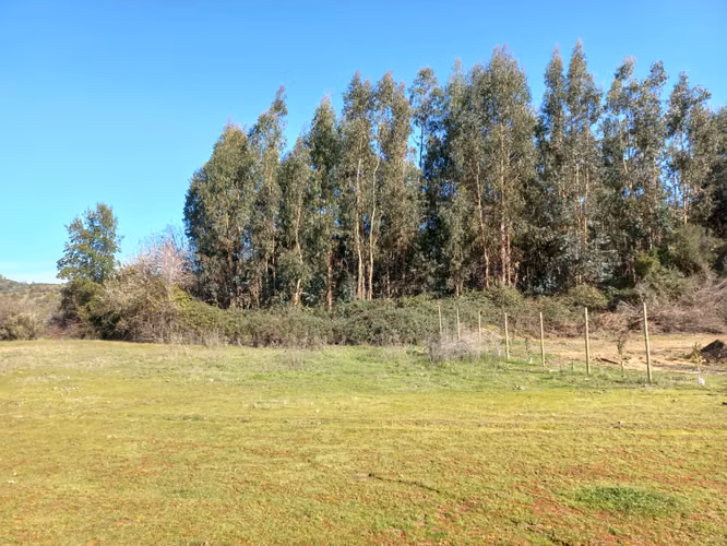 Vendo 2 Parcelas Contiguas de 5.000 m² c/u – Parcelado Pircas de Santa Cruz, Sector Alto Callihue
