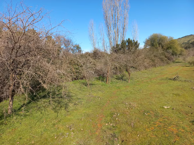 Vendo 2 Parcelas Contiguas de 5.000 m² c/u – Parcelado Pircas de Santa Cruz, Sector Alto Callihue