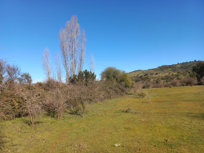 Vendo 2 Parcelas Contiguas de 5.000 m² c/u – Parcelado Pircas de Santa Cruz, Sector Alto Callihue