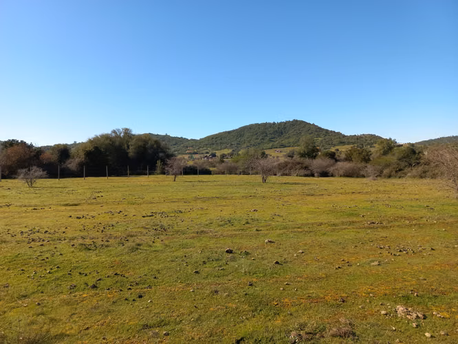 Vendo 2 Parcelas Contiguas de 5.000 m² c/u – Parcelado Pircas de Santa Cruz, Sector Alto Callihue
