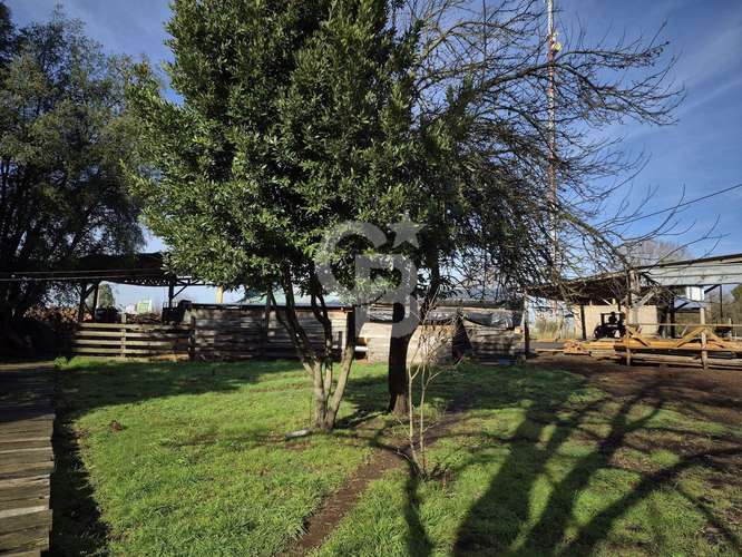 Excelente propiedad productiva de 1,8 ha en San Pablo