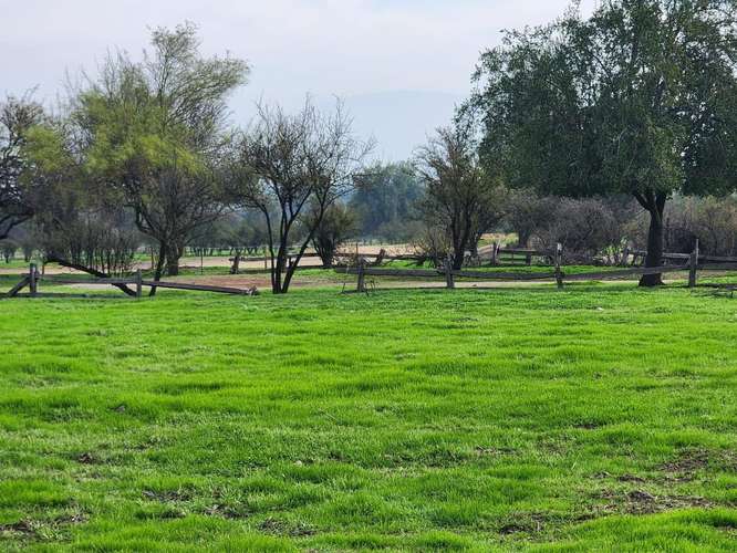 Sitio en venta de 5173m2 ubicado en Chicureo - Imagen 7