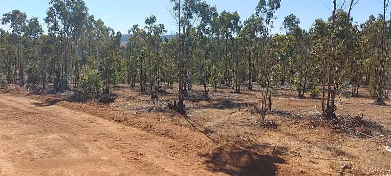 PARCELA EL PERAL A 25 MIN DE PLAYA. CARDENAL CARO, - Imagen 14