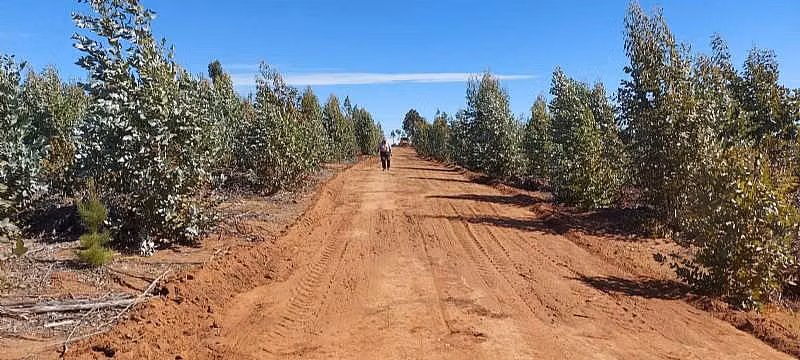 PARCELA EL PERAL A 25 MIN DE PLAYA. CARDENAL CARO, - Imagen 13