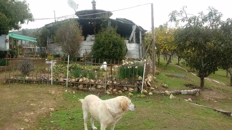 Naturaleza, casa y 5 hectáreas en San Pedro (180177)