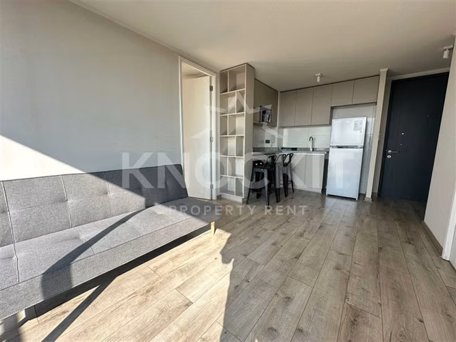 Arriendo Depto en Promoción - 2D2B Amoblado