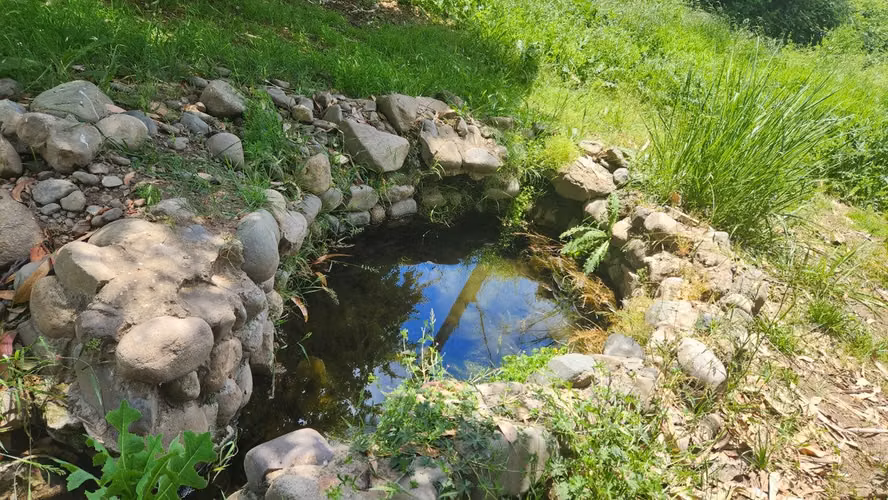 Gran Oportunidad Para Inversionistas  Parcela Parque
