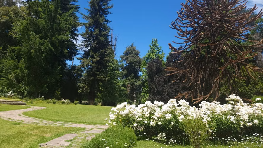 Gran Oportunidad Para Inversionistas  Parcela Parque
