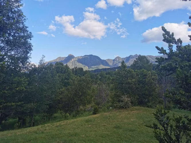 Parcela 5.000 M2 Con 3 Cabañas + Bodega - A Minutos De Pucón - Imagen 3