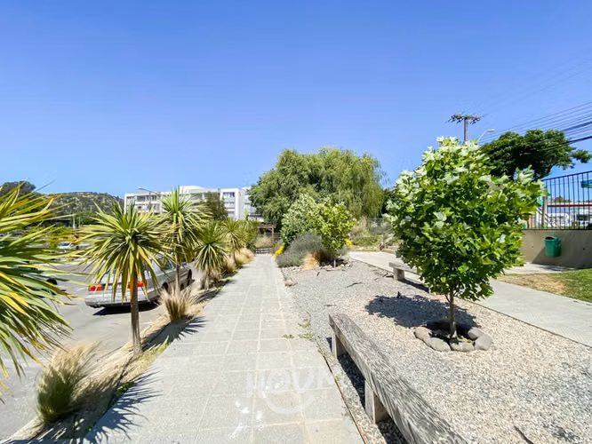 Departamento en Condell Sur - Imagen 28