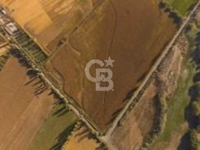 Fundo Agrícola 74 há con riego inscrito en Longaví