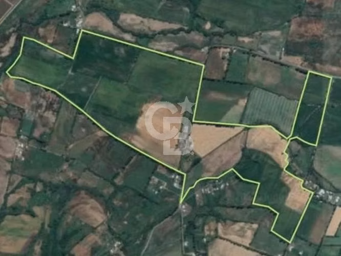 Fundo Agrícola 74 há con riego inscrito en Longaví