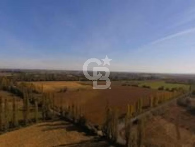 Fundo Agrícola 74 há con riego inscrito en Longaví