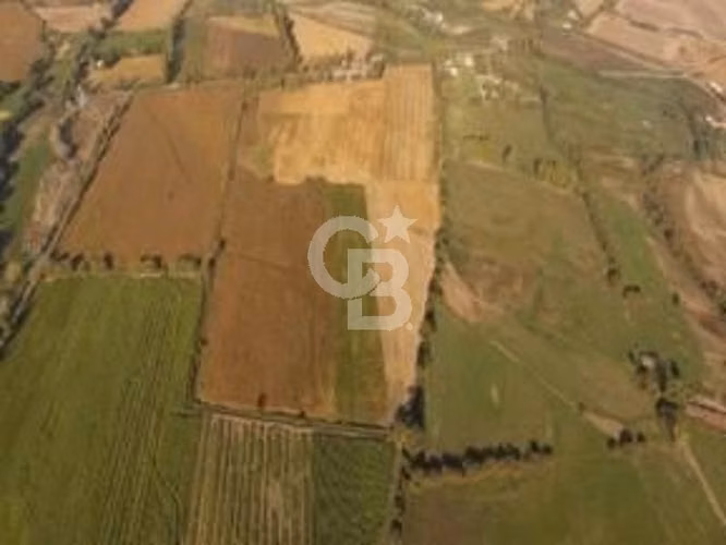 Fundo Agrícola 74 há con riego inscrito en Longaví