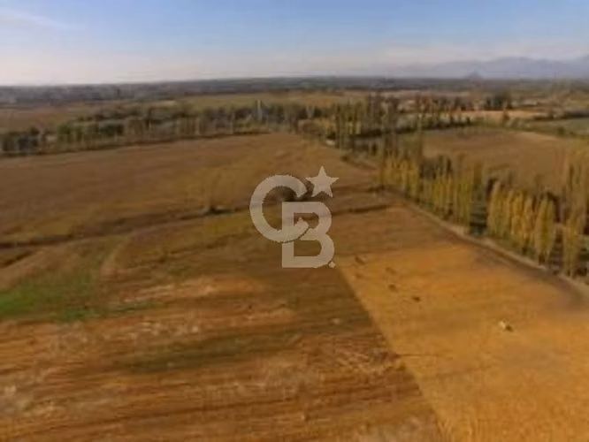 Fundo Agrícola 74 há con riego inscrito en Longaví