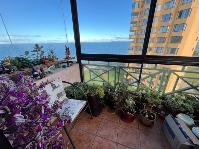 Excelente departamento vista al mar, Pelluco (180236)