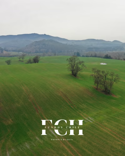 100 Hás Agricola - Ideal inversión Temuco