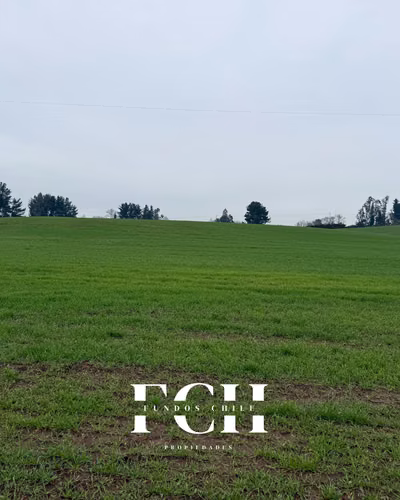 100 Hectarás oportunidad de inversión - Imagen 12
