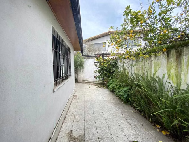 Casa excelente  arriendo Barrio El Tenis (180254)