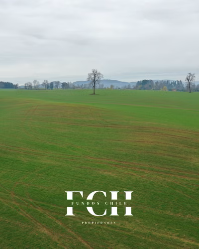 142 Hectáreas agricolas a minutos de Temuco.