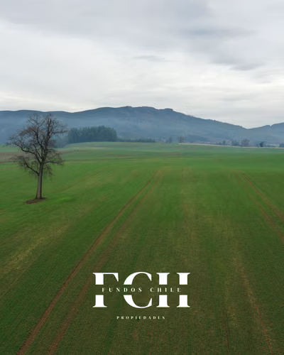 142 Hás Agrícola y Ganader - Pumalal Temuco.