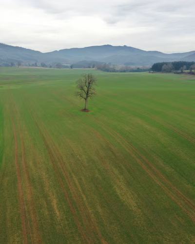 142 Hás Agrícola y Ganader - Pumalal Temuco. - Imagen 7