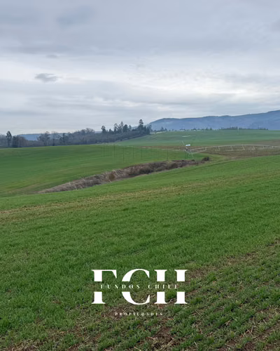 142 Hectáreas ideal para Inversió a paso de Temuco - Imagen 11