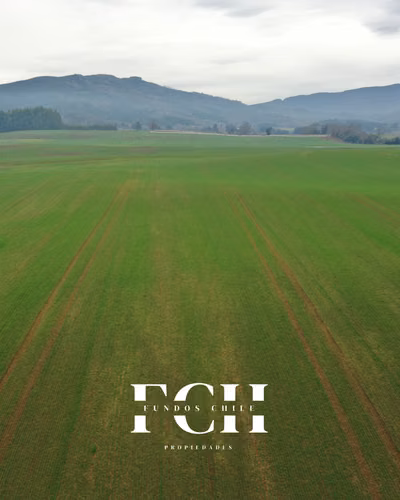 142 Hás Agrícola y Ganader - Pumalal Temuco. - Imagen 9