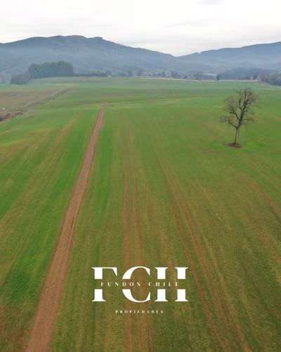 142 Hás Agrícola y Ganader - Pumalal Temuco. - Imagen 5