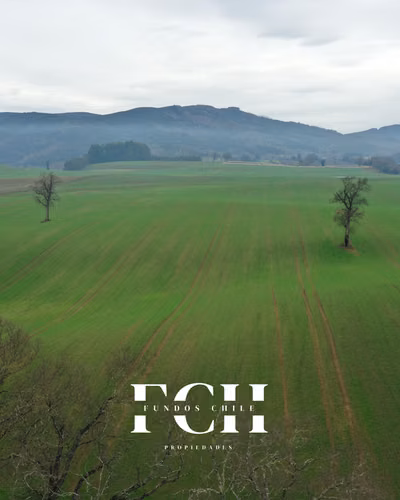 142 Hectáreas ideal para Inversió a paso de Temuco - Imagen 4