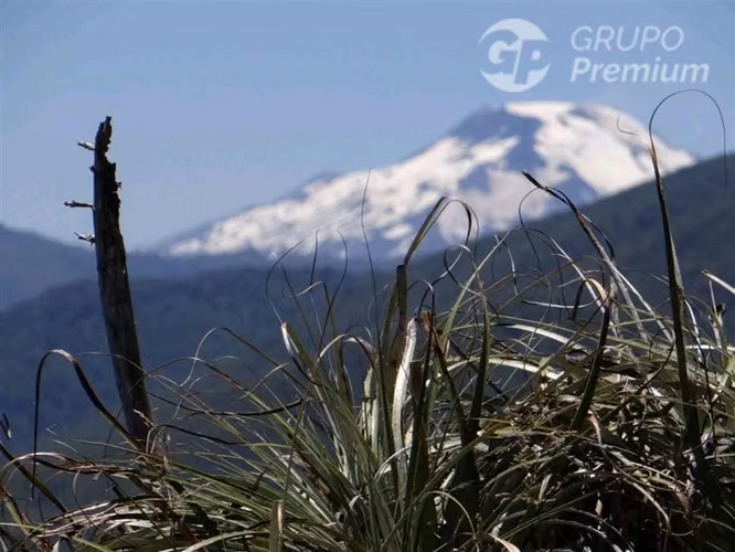 Agrícola en venta en Collipulli