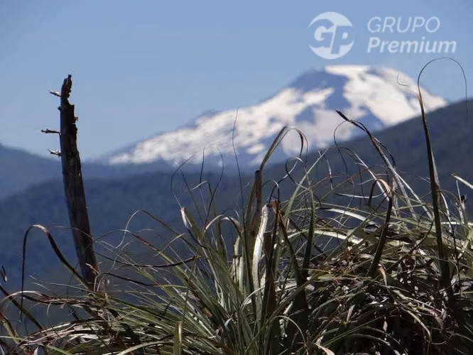 Agrícola en venta en Collipulli
