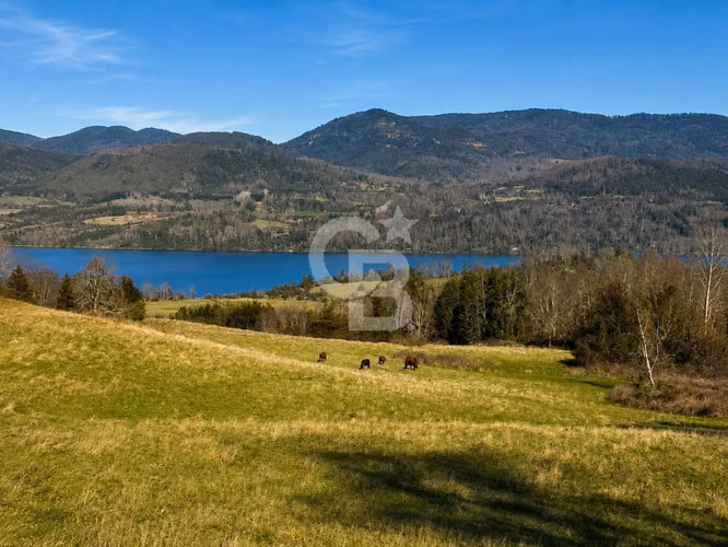 Parcelas Agrícolas Chauquén: Vista al Lago Panguipulli