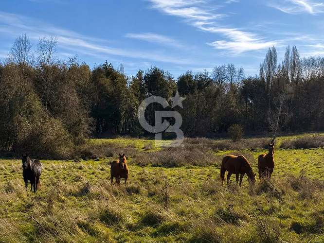 Parcelas Agrícolas Chauquén: Vista al Lago Panguipulli - Imagen 3