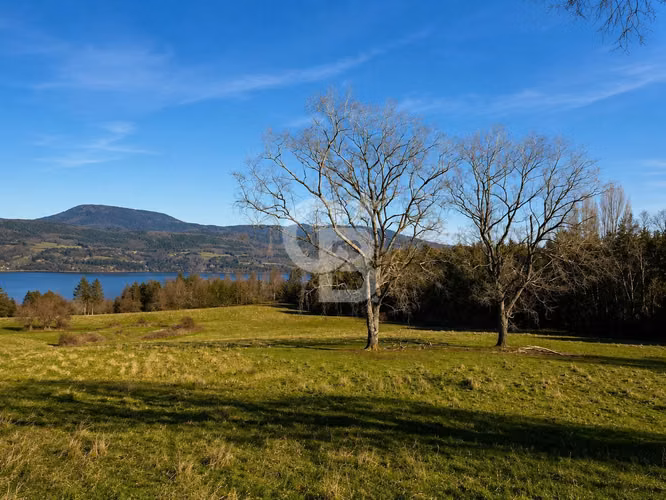 Parcelas Agrícolas Chauquén: Vista al Lago Panguipulli - Imagen 7