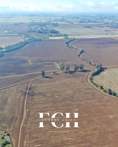 717 Hectáreas Agricolas con agua - IX región.