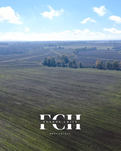717 Hectáreas Agricolas con agua - IX región. - Imagen 5