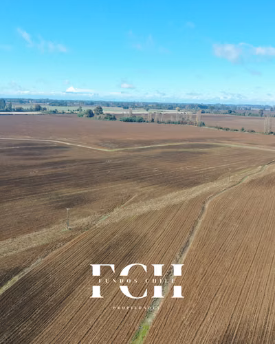 717 Hectáreas Agricolas con agua - IX región. - Imagen 8