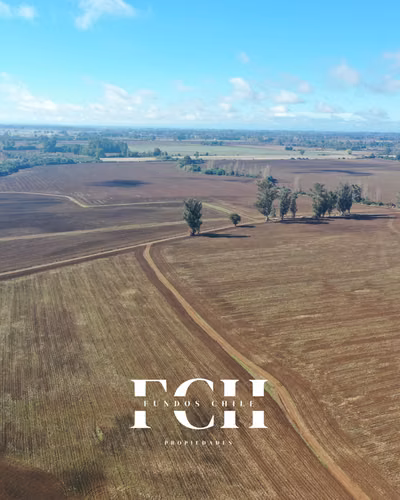 717 Hectáreas Agricolas con agua - IX región. - Imagen 4
