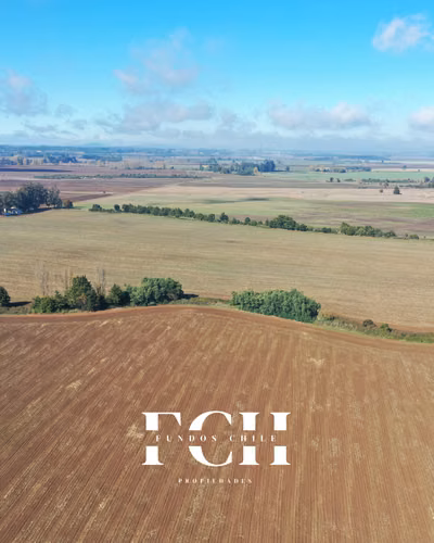 717 Hectáreas Agricolas con agua - IX región. - Imagen 6