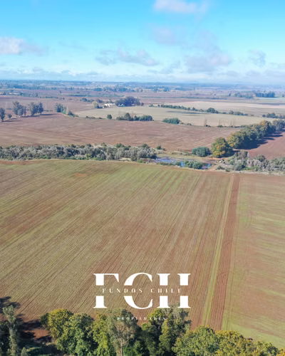 717 Hectáreas Agricolas con agua - IX región. - Imagen 7