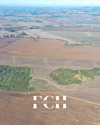 717 Hectáreas Agricolas con agua - IX región. - Imagen 13