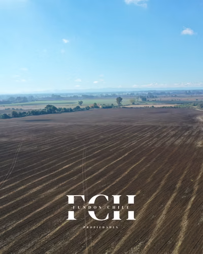 717 Hectáreas Agricolas con agua - IX región. - Imagen 11